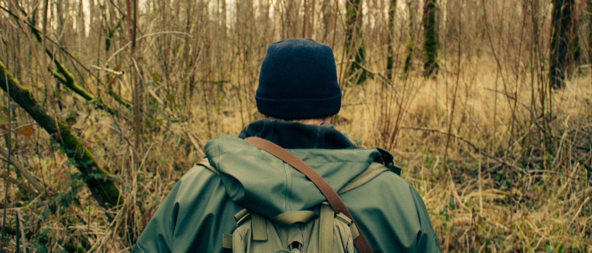 a person with a backpack walking through a forest.