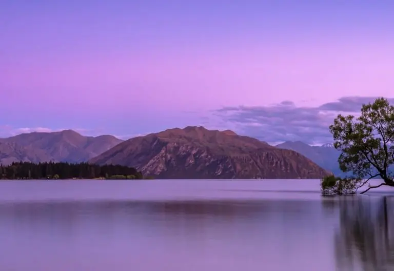 a lone tree in the middle of a lake.